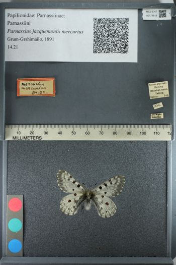 Media type: image;   Entomology 174818